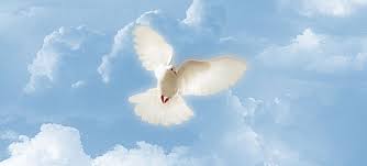 Prelatura SS. Pietro e Paolo - Married Priests Now